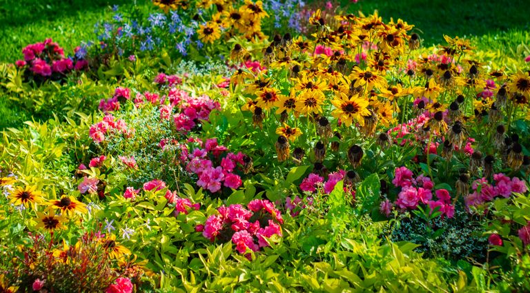 A colorful arrangement of summer flowers in full bloom, showcasing vibrant yellows and pinks.